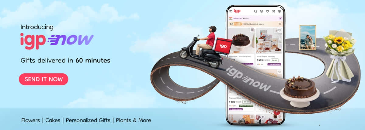 igp_now_d_banners_5_1771568147825